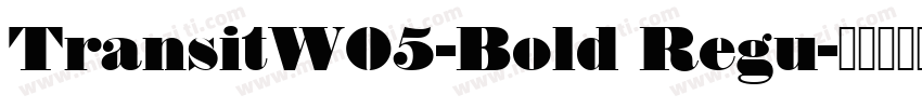 TransitW05-Bold Regu字体转换